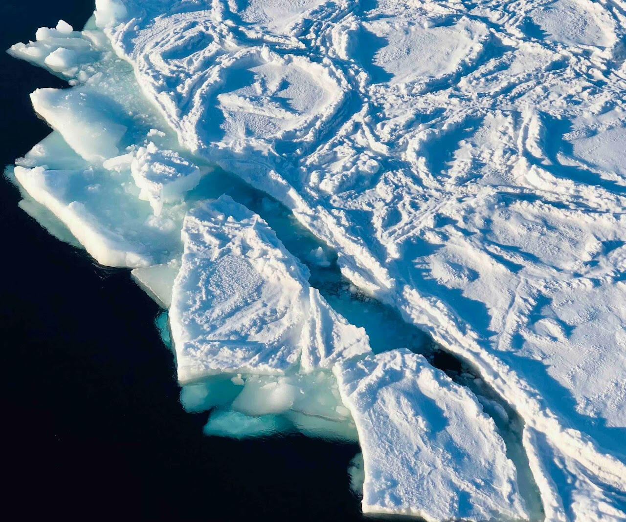 Letizia Tedesco – About Me